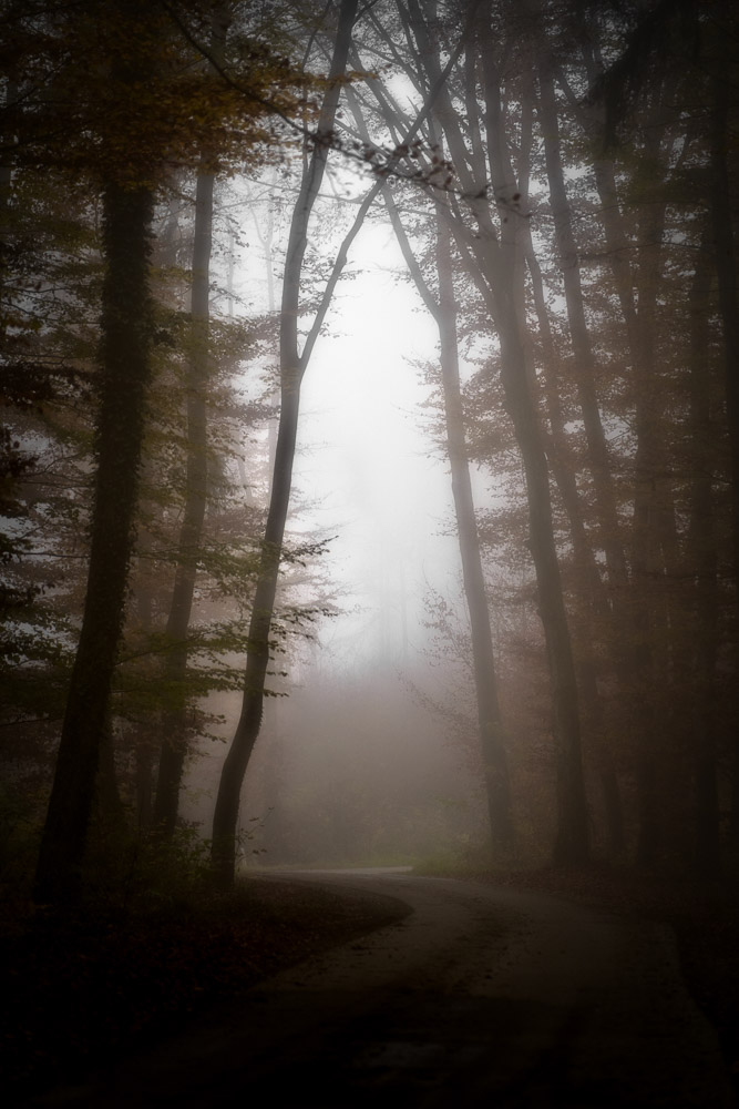 Platz 4 Harald Unglert